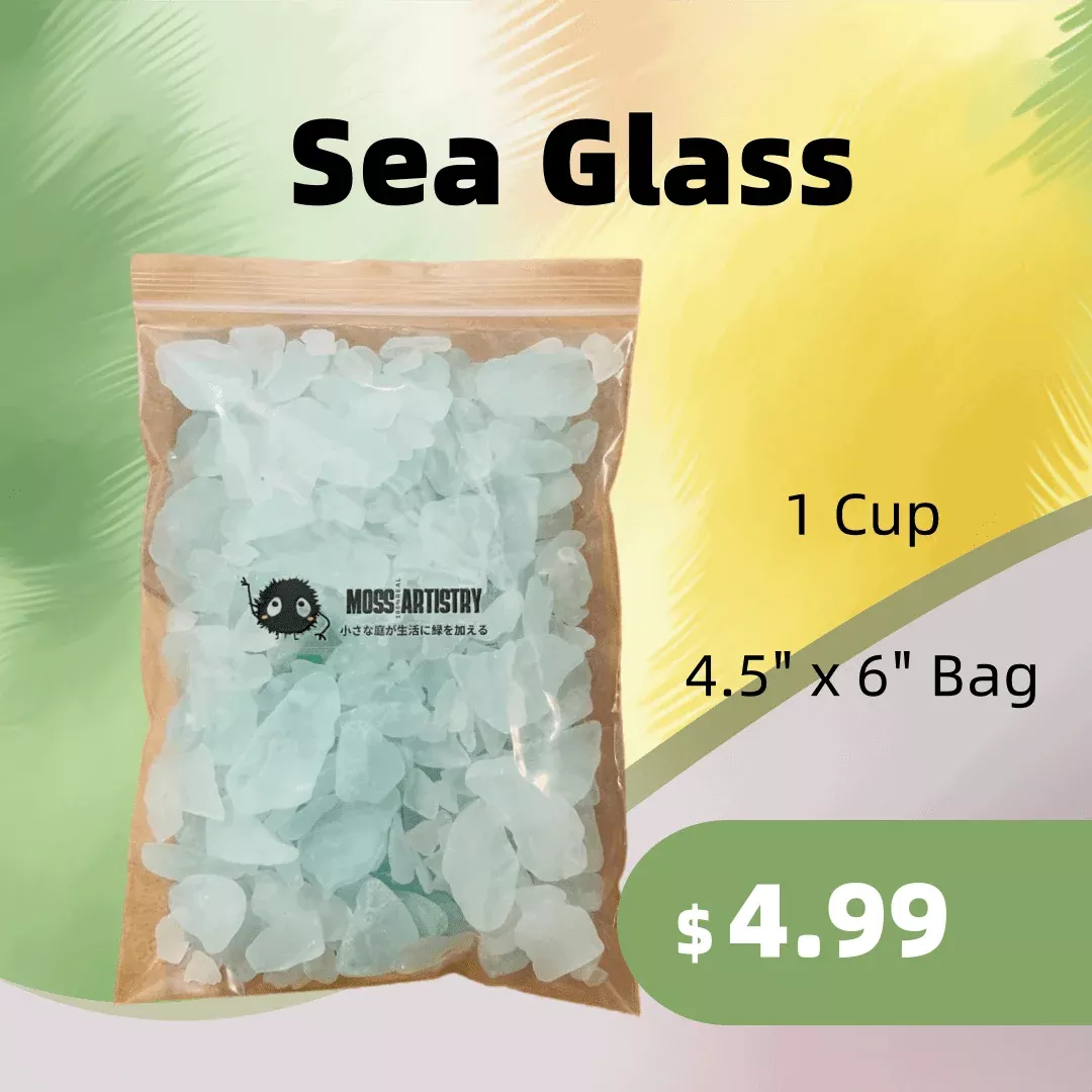 1 Cup Sea Glass for Aquarium and Glass Terrarium