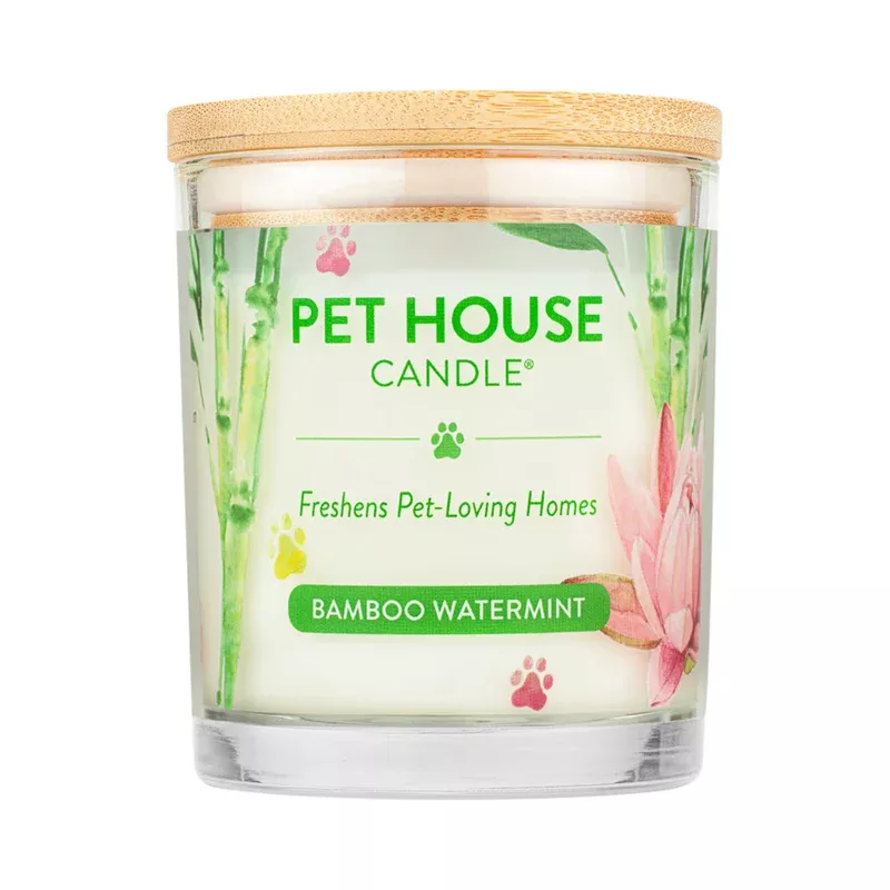 100% Plant-Based Wax Candle, Bamboo Watermint – 9 oz