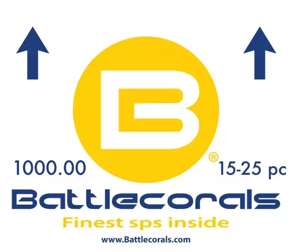 1000.00 Battlebox Ships free