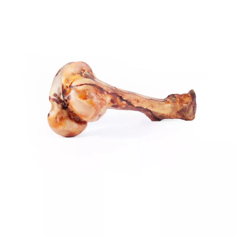 16-18 Monster Beef Femur Bone