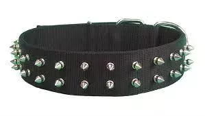 16” PET COLLAR –BLACK – SPIKE