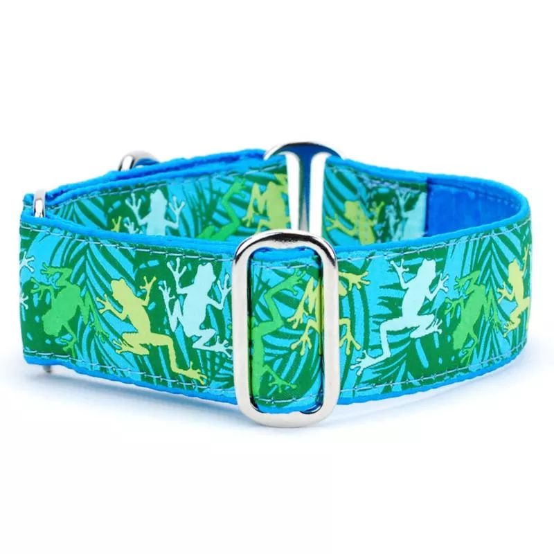 2 Hounds Design Dog Collar – Large16-20″ – Coqui Surf