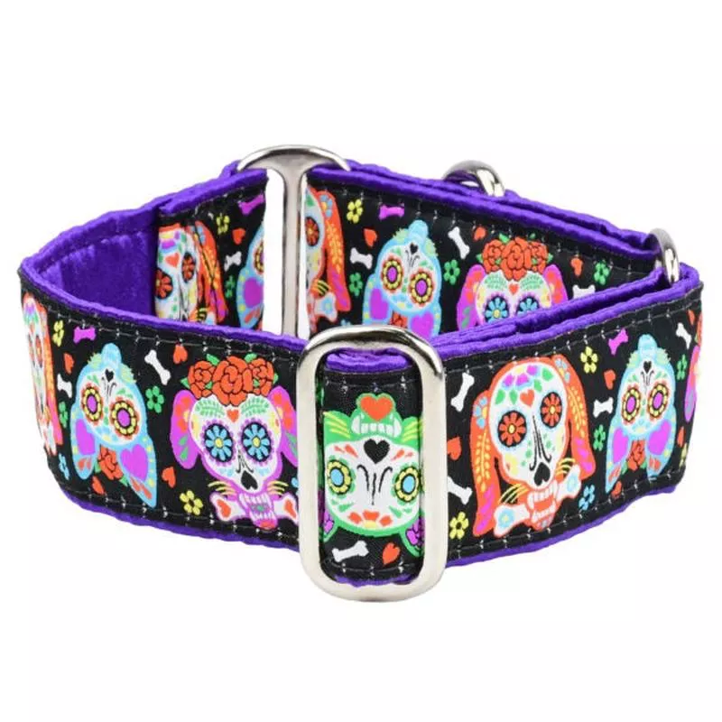 2 Hounds Design Dog Collar – Small 10-14″ – XOLOSugar Skull
