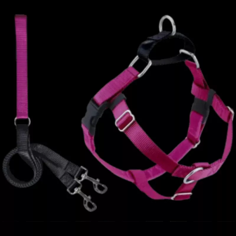 2 Hounds Design Freedom No-Pull Dog Harness With Leash Raspberry