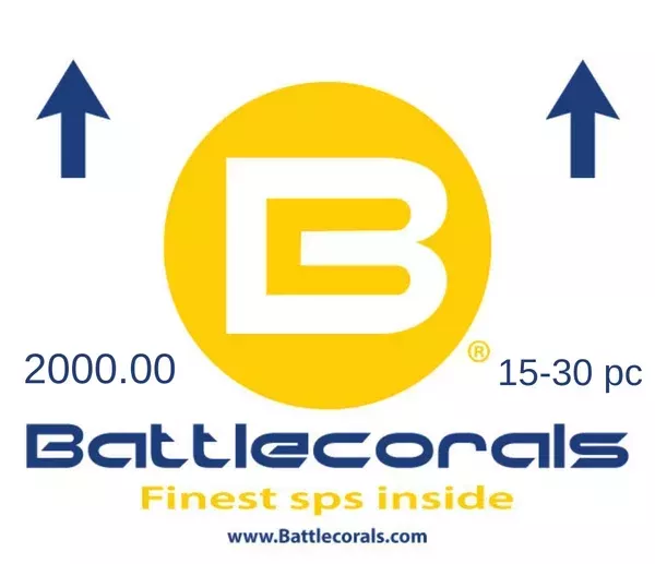 2000.00 Battlebox Ships free