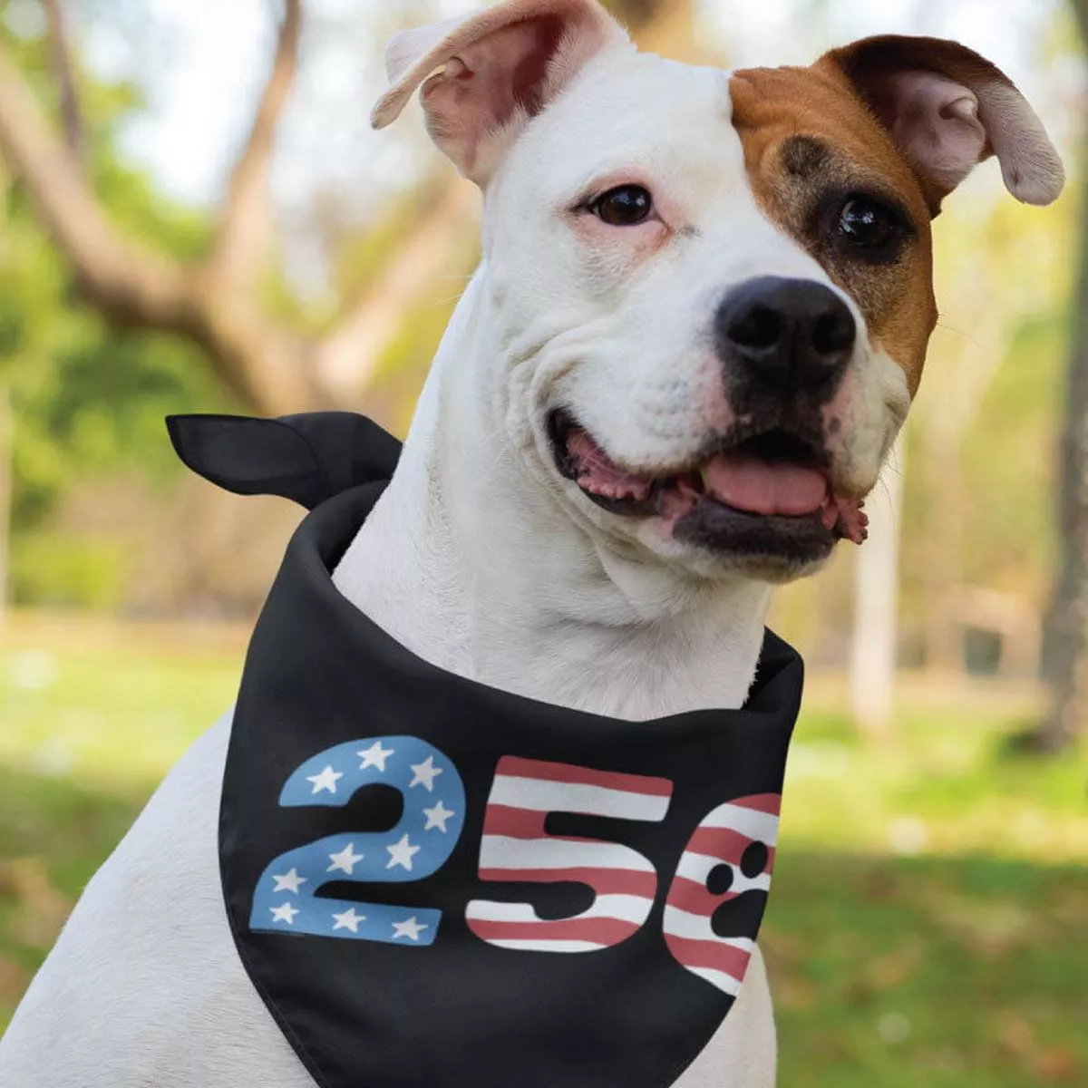 250 Paw – Doggie Bandana