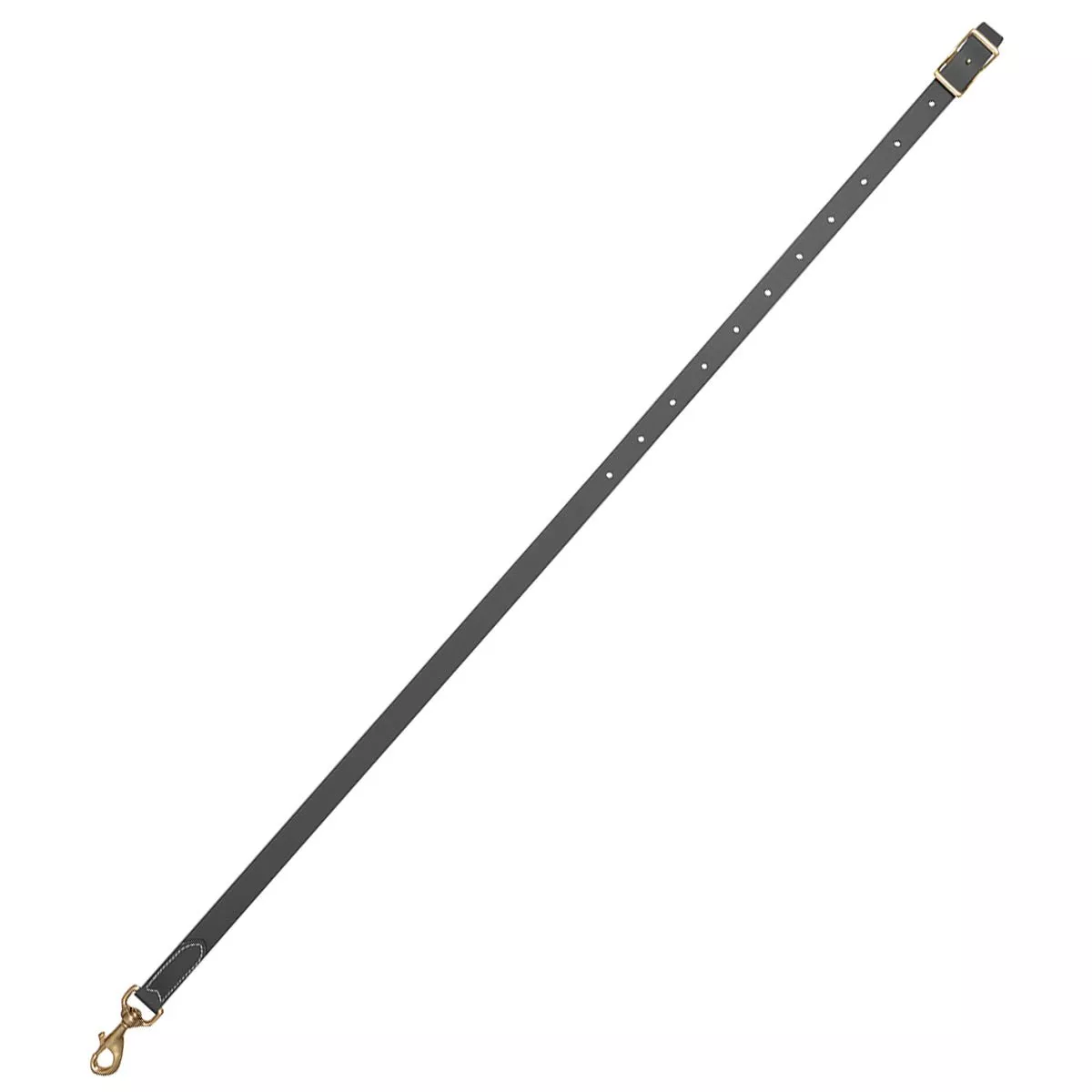 3/4" Classic Equine Biothane Tie Down Strap, Black