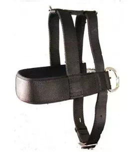 36” PULLING HARNESS W/NEOPRENE