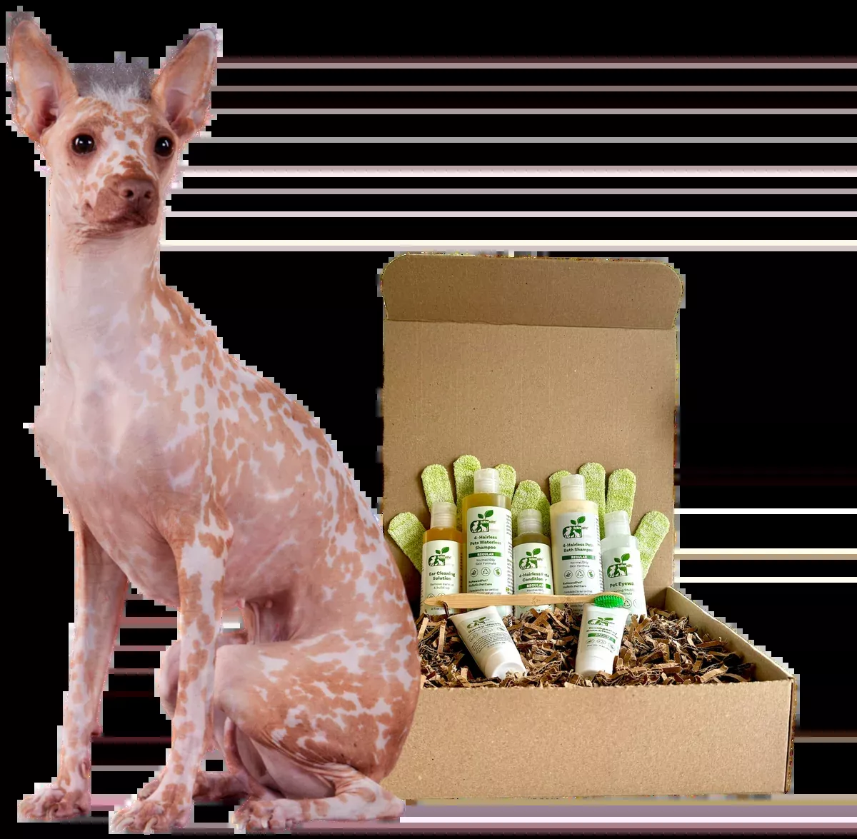 4-HAIRLESS PETS *DOG REGULAR KIT