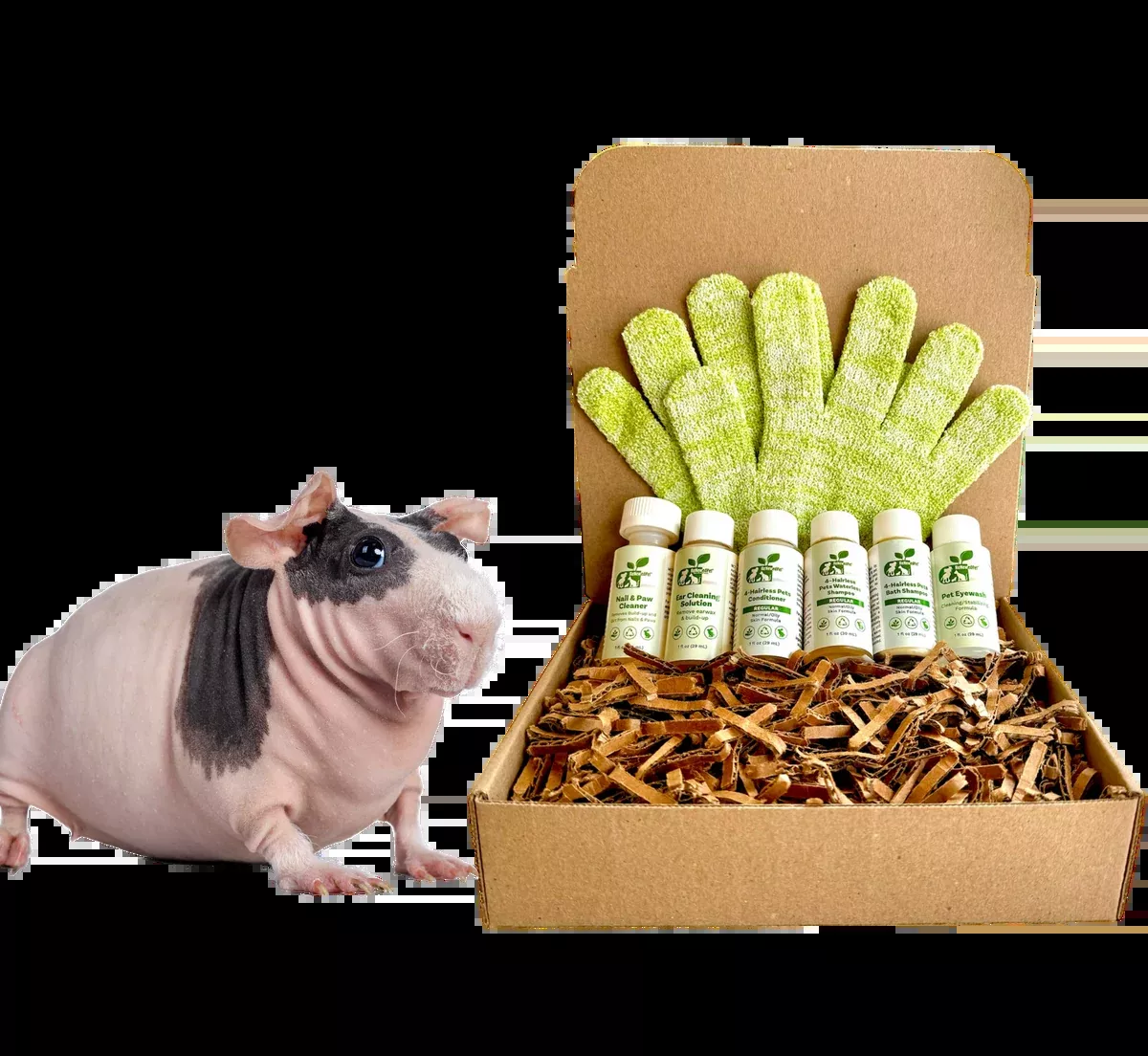 4-HAIRLESS PETS *SKINNYPIG REGULAR KIT
