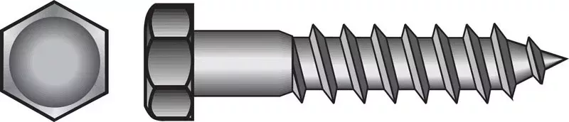 5/16 In. X 2-1/2 In. L Hex Stainless Steel Lag Screw 25 Pk