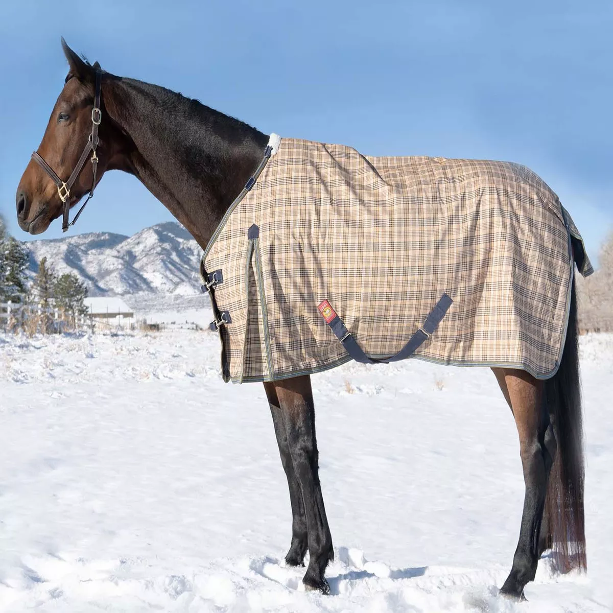 5/A Baker Heavy Turnout Blanket for Horses