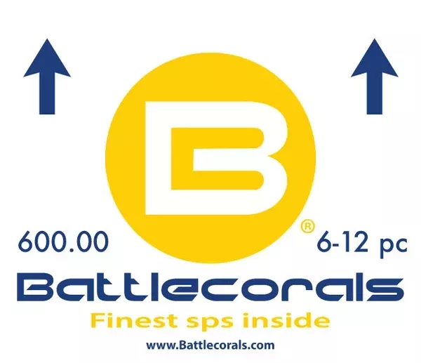 600.00 battlebox Ships free