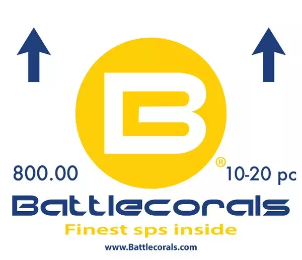 800.00 Battlebox Ships free