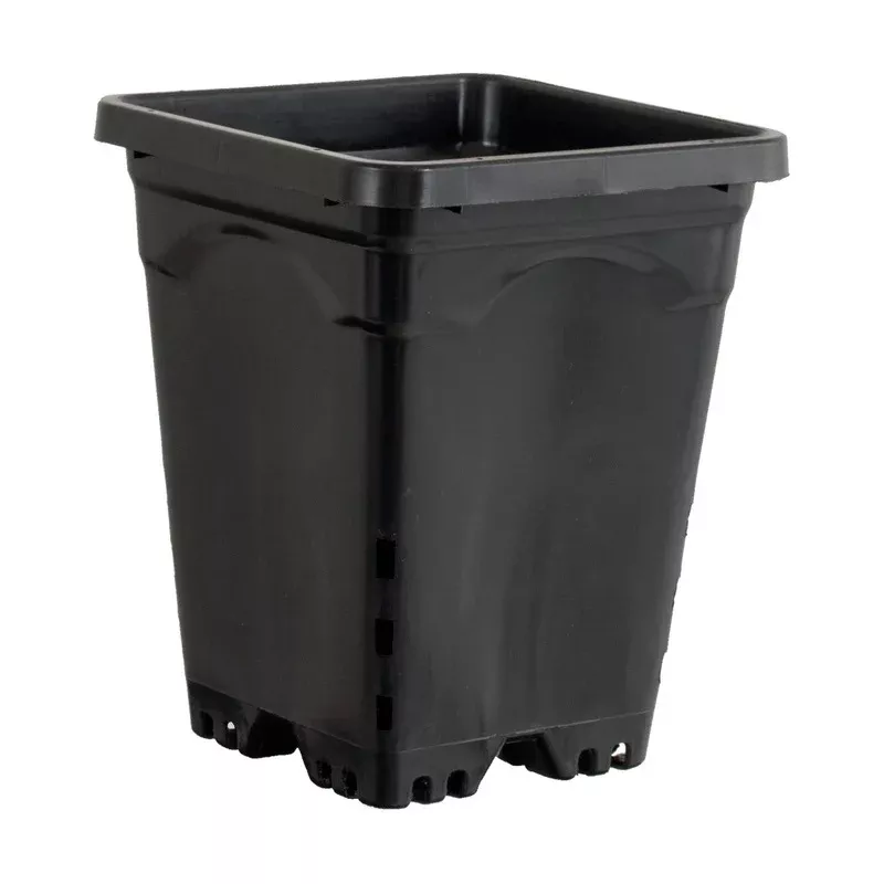 Active Aqua Square Black Pots | Staff Picks