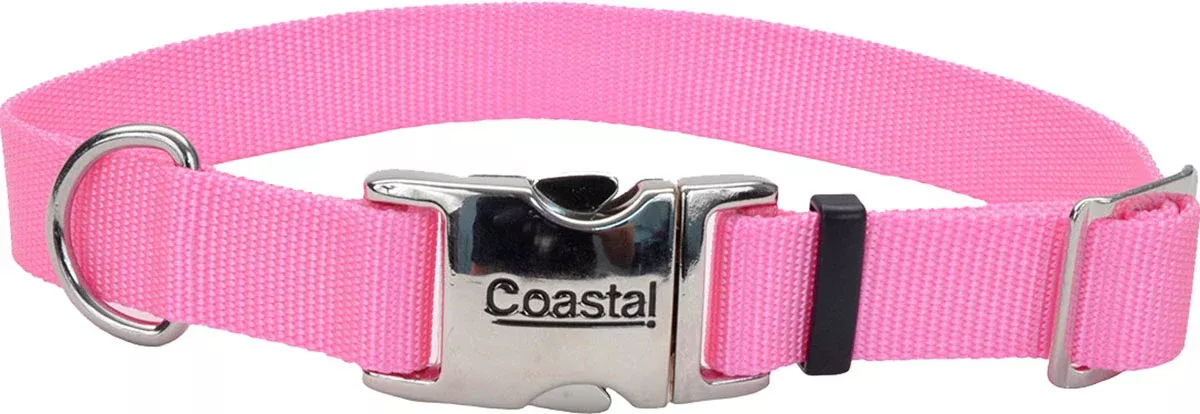 Adjustable Dog Collar W/ Metal Buckle