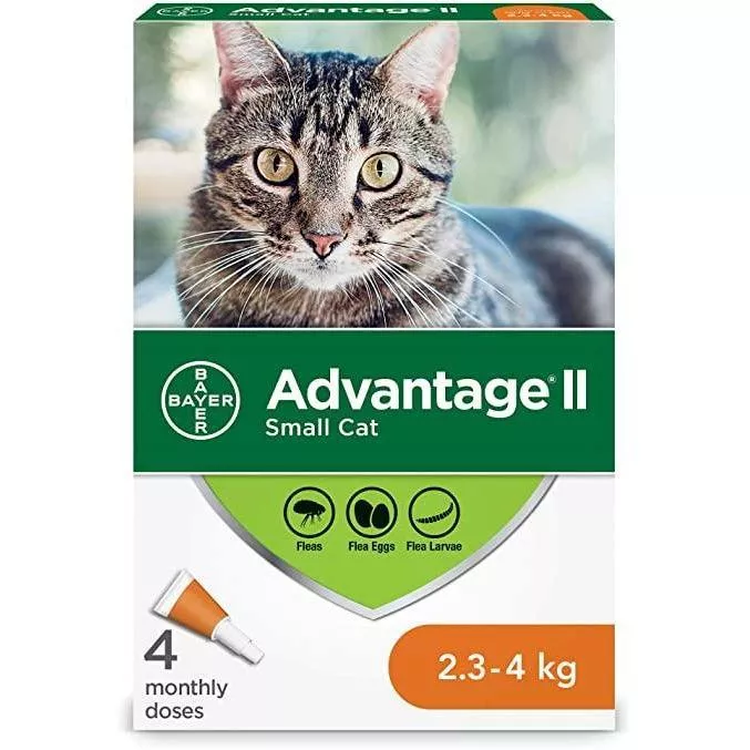 Advantage II For Small Cats