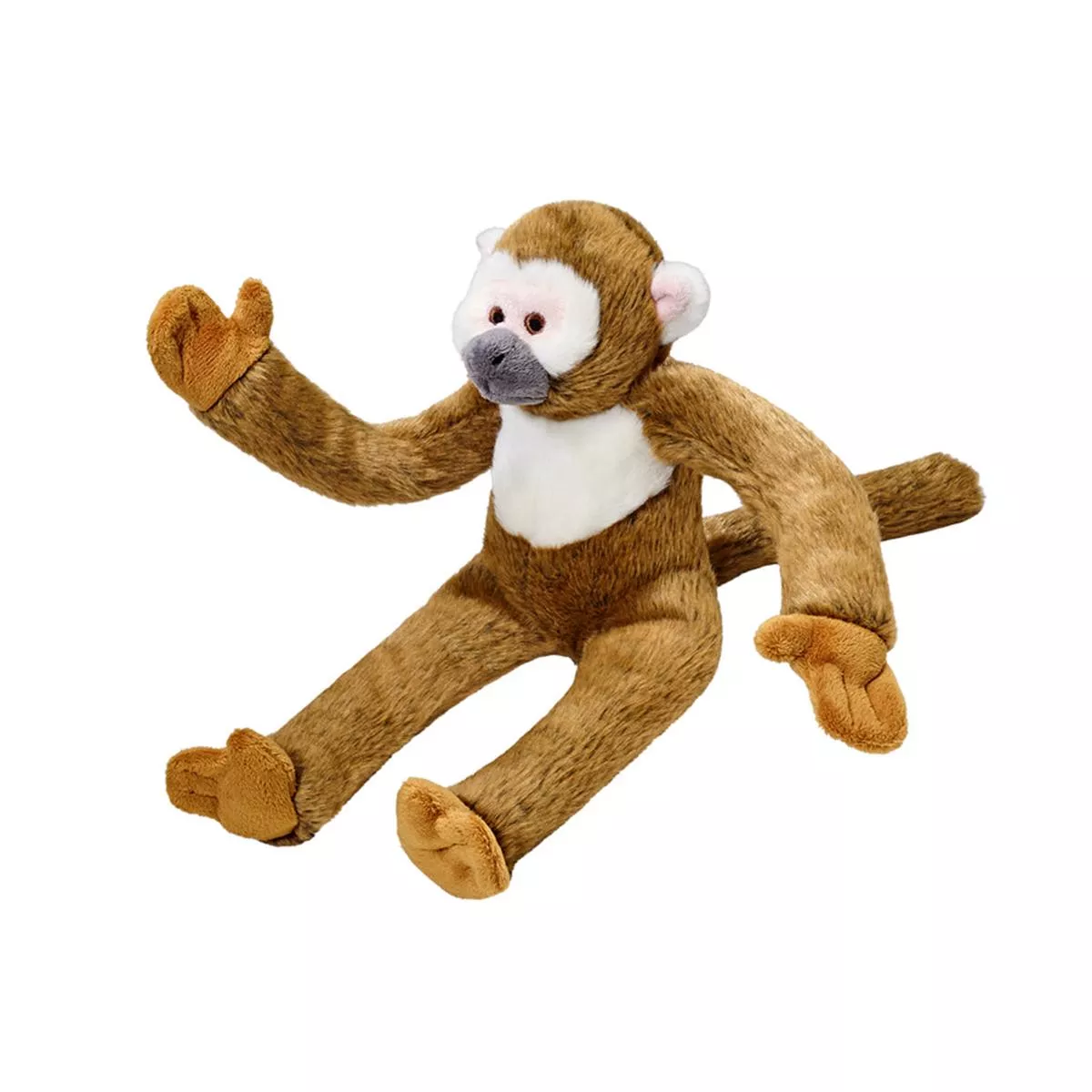 Albert Monkey
