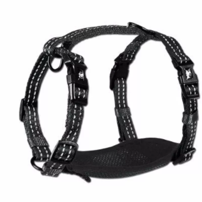 Alcott Adventure Harness Black