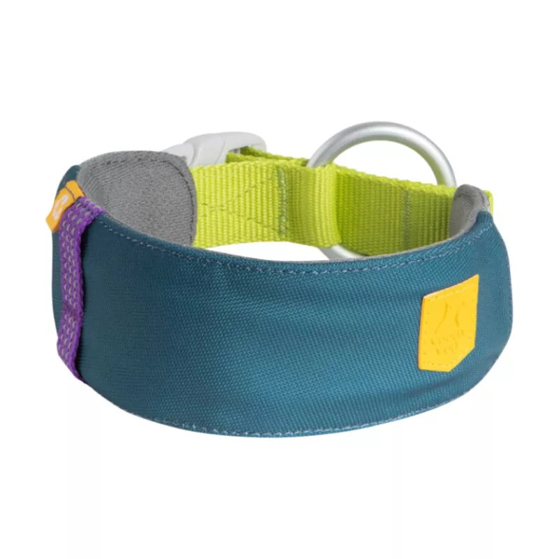 Alpha 360 Dog Collar Deep Teal