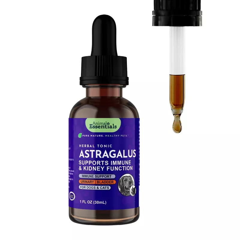 Animal Essentials Astragalus Single Herbal Tonic | Supports Immune & Kidney Function