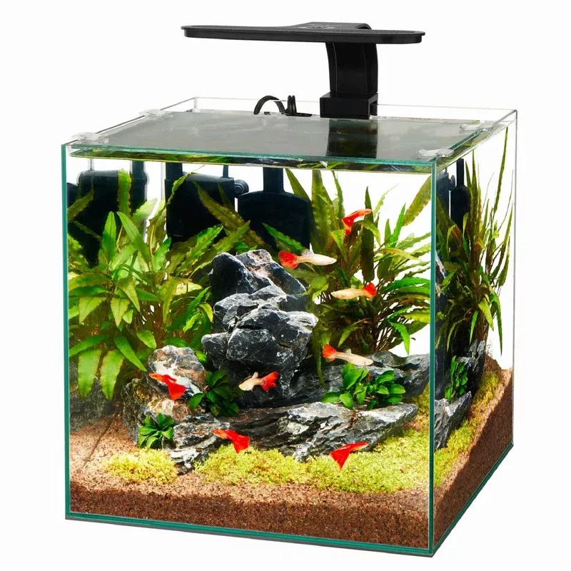 Aqueon Frameless Cube Aquarium, 6 Gallon – Transform Your Backyard into a Wildlife Oasis for All Creatures