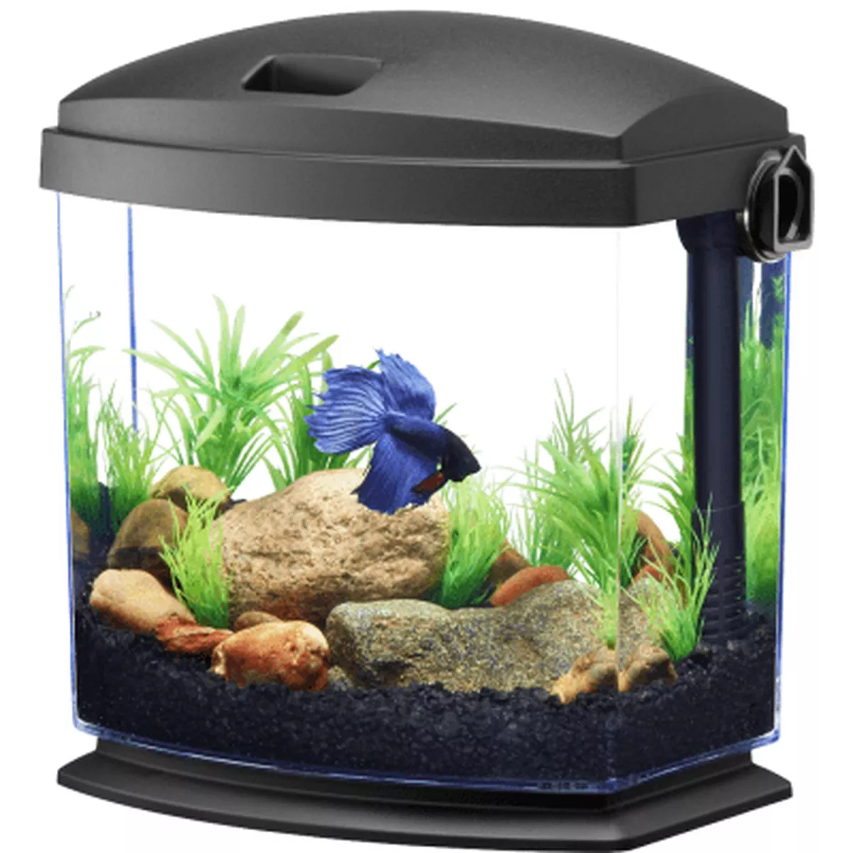 Aqueon Quick Clean BettaBow Aquarium Kit