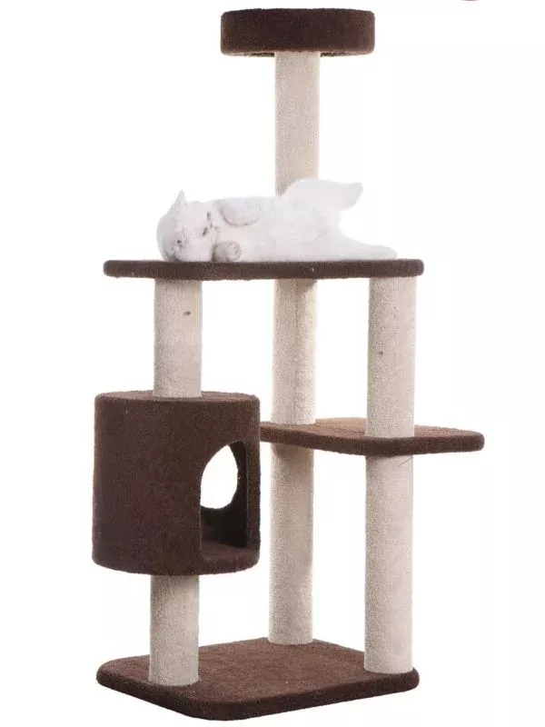 Armarkat Real Wood F5502 Carpeted Cat Tree Condo