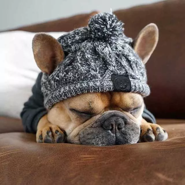 Autumn Winter Warm Knitted Pet Hats With Fluffy Ball