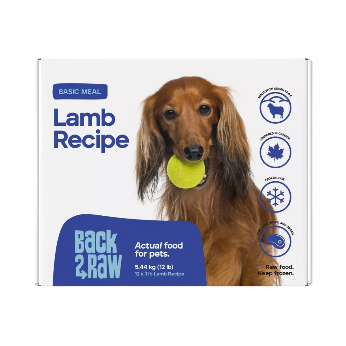 Back 2 Raw Basic Meal for Dogs - Lamb Recipe