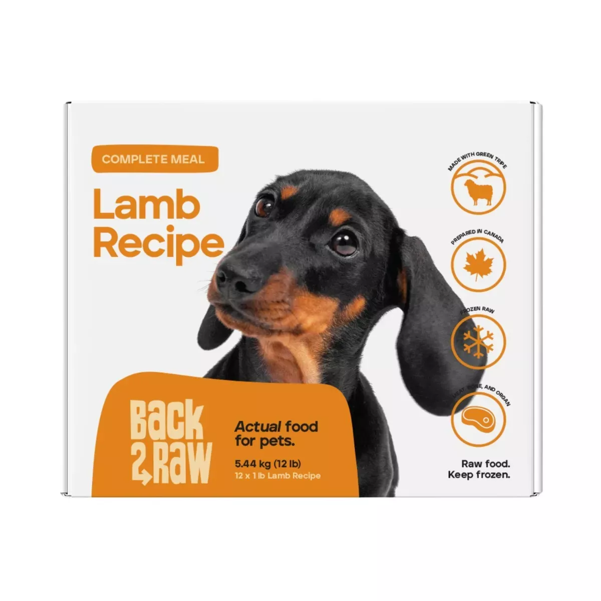 Back 2 Raw Complete Meal for Dogs - Lamb Recipe