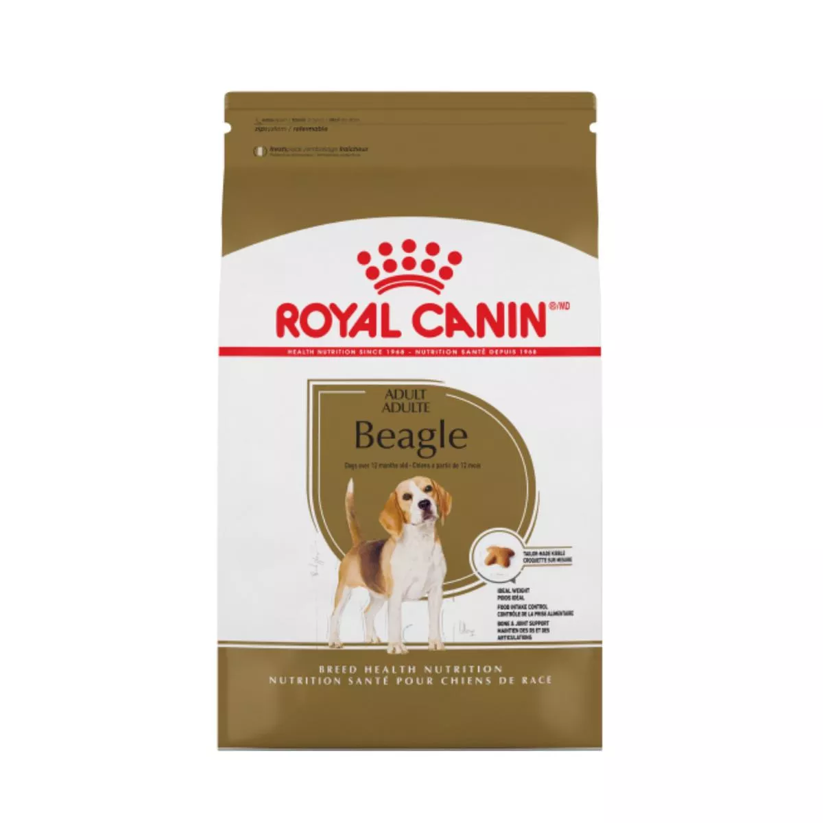 Beagle Adult