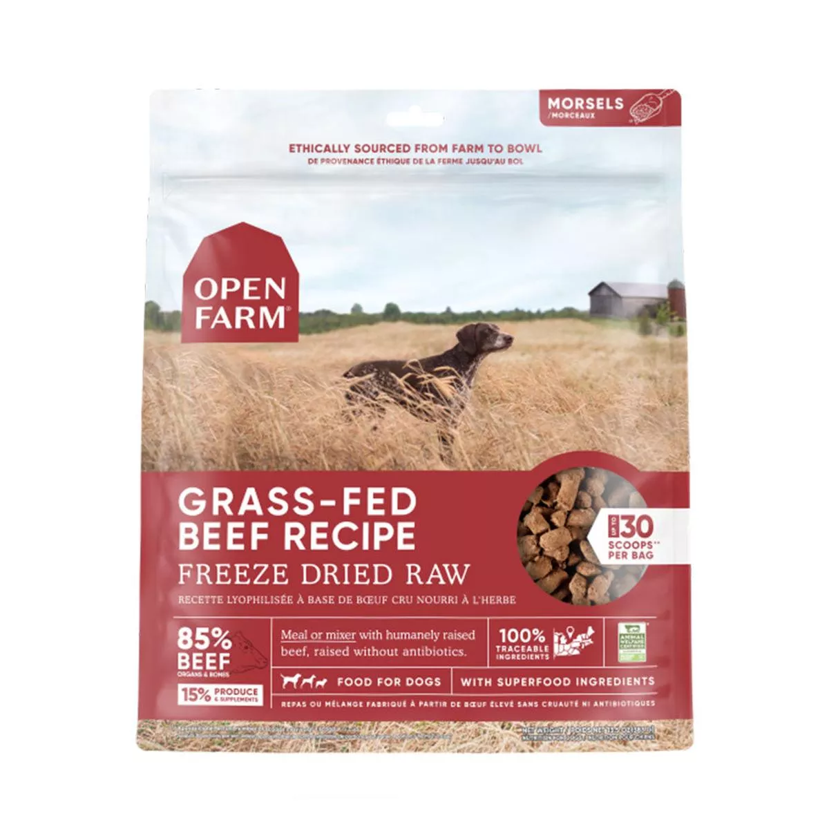 Beef Freeze Dried Raw