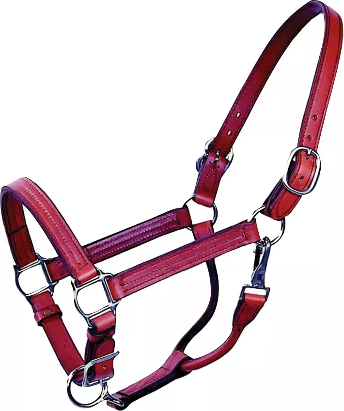Beiler'S Track Halter