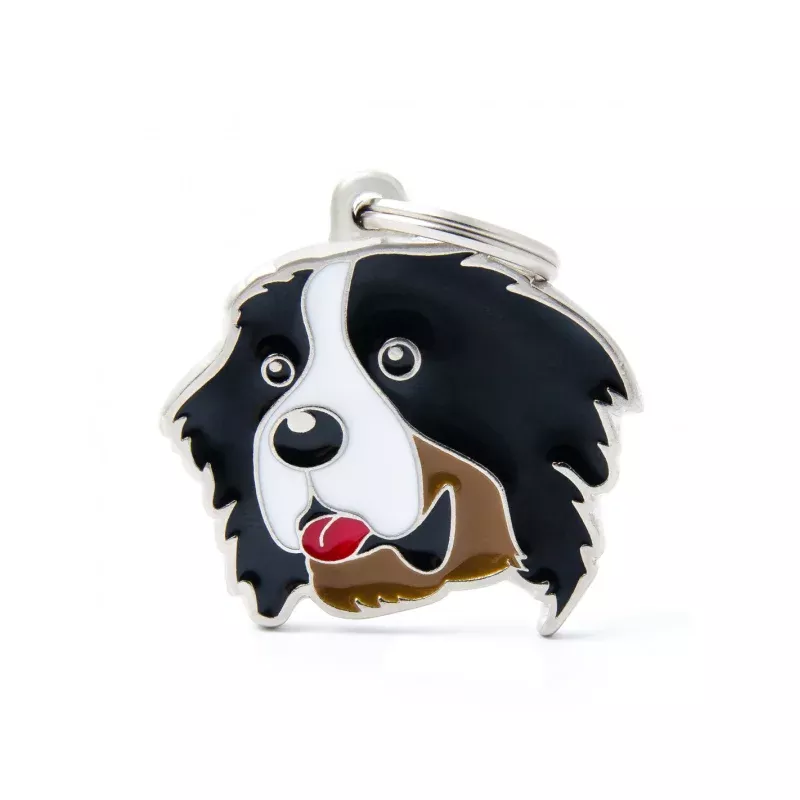 Bernese Mountain Dog