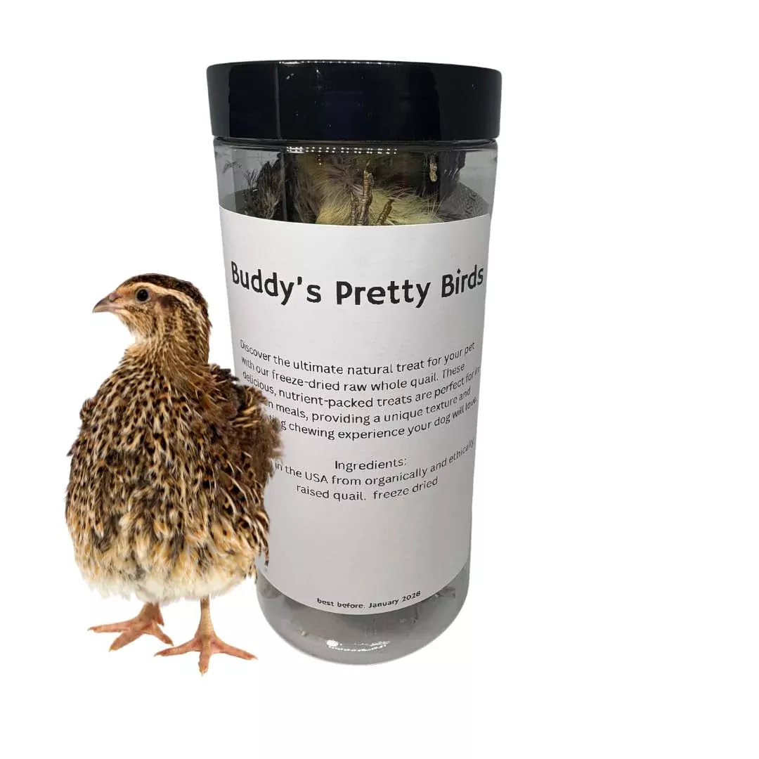Bird Dog Training Quail - Premium Freeze-Dried Whole Quail for Dogs 5ct, Large (Chick) - Natural Prey Feeding Quality Protein Pet Treats