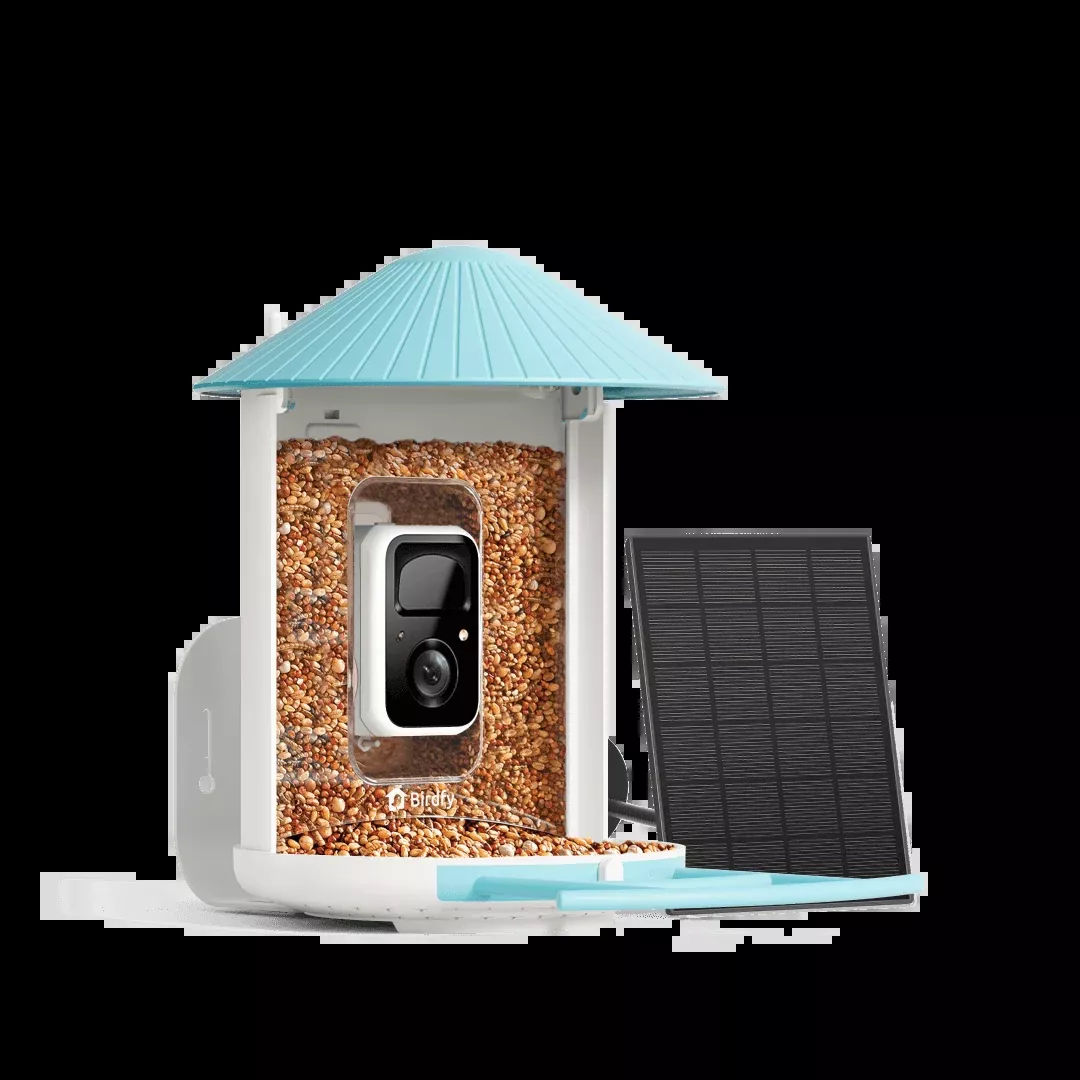 Birdfy Feeder with Solar Panel - Solar-Powered Smart Bird Feeder with Camera