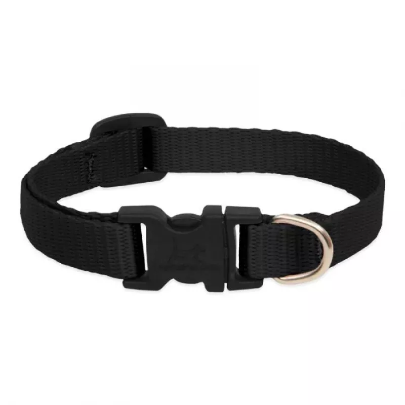 Black Adjustable Collar