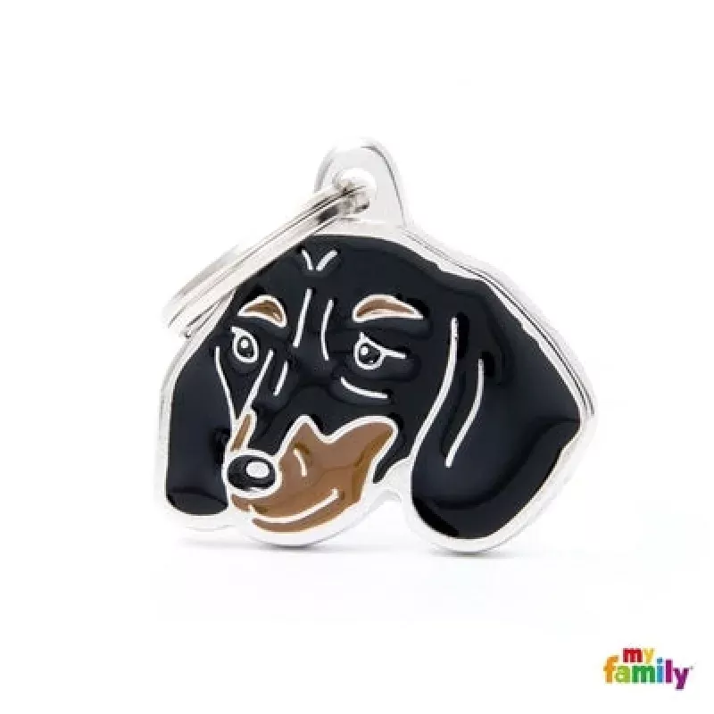 Black & Tan Dachshund