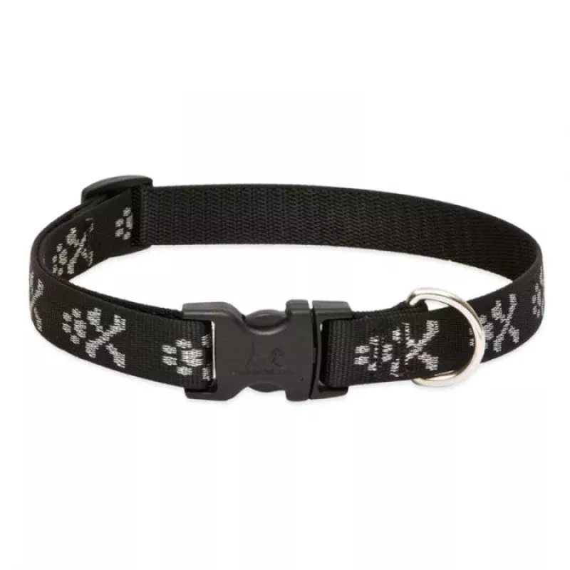 Bling Bonz Dog Collar