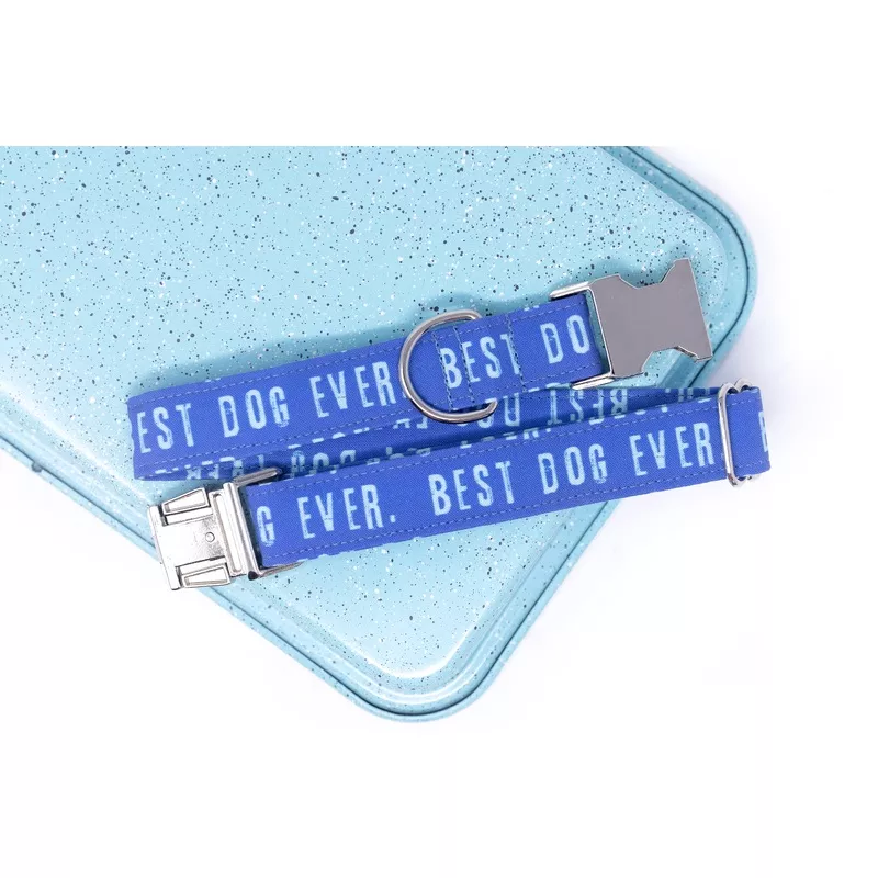Blue Best Dog Ever Dog Collar