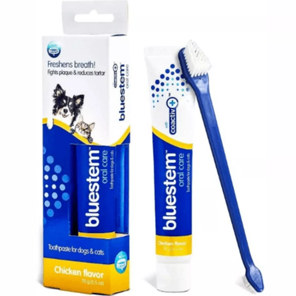 Bluestem Oral Care Chicken Flavour Toothpaste and Toothbrush Combo for Pets