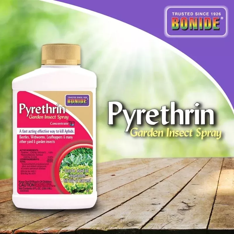 Bonide – Pyrethrin Garden Spray Concentrate | Staff Picks