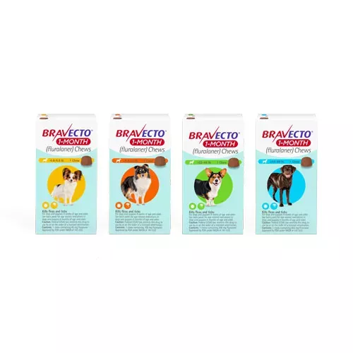 Bravecto 1-Month Chew for Dogs
