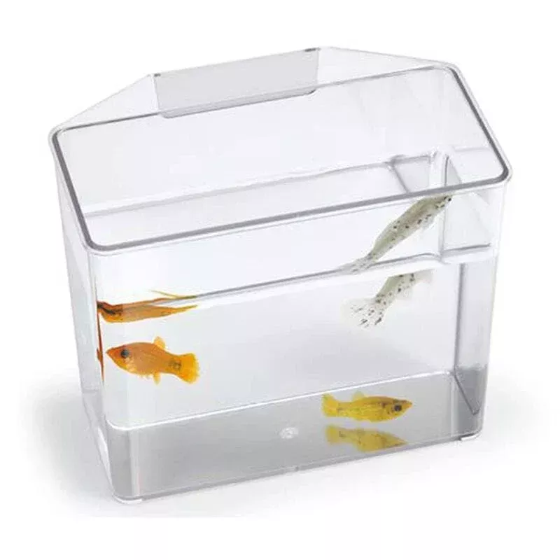 Break Resistant Specimen Container – Large – Lee’s