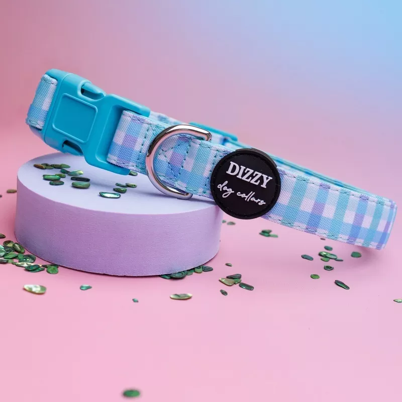 Breezy Blue Gingham Dog Collar | Neoprene Dog Collar