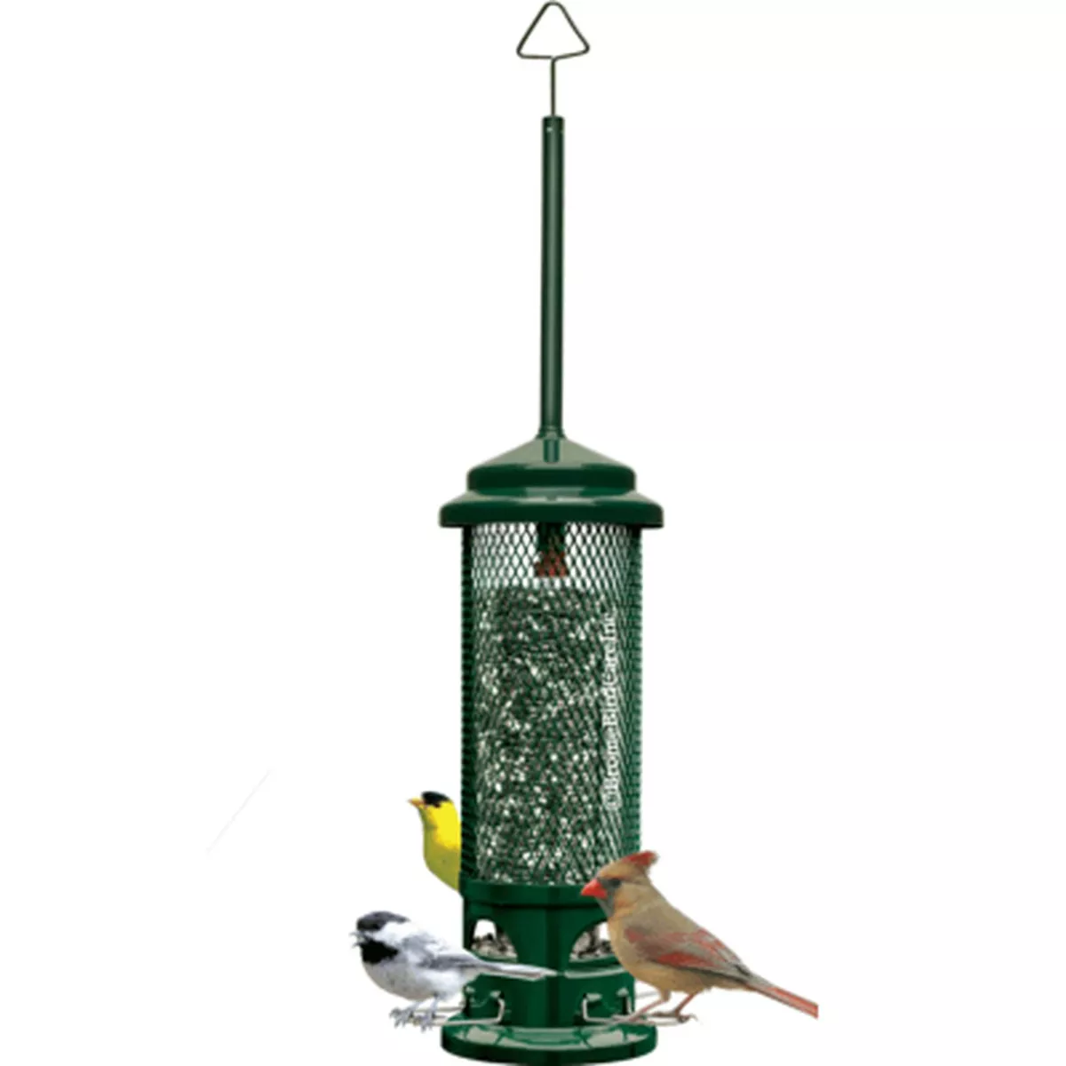 Brome Bird Care Squirrel Buster Legacy Bird Feeder