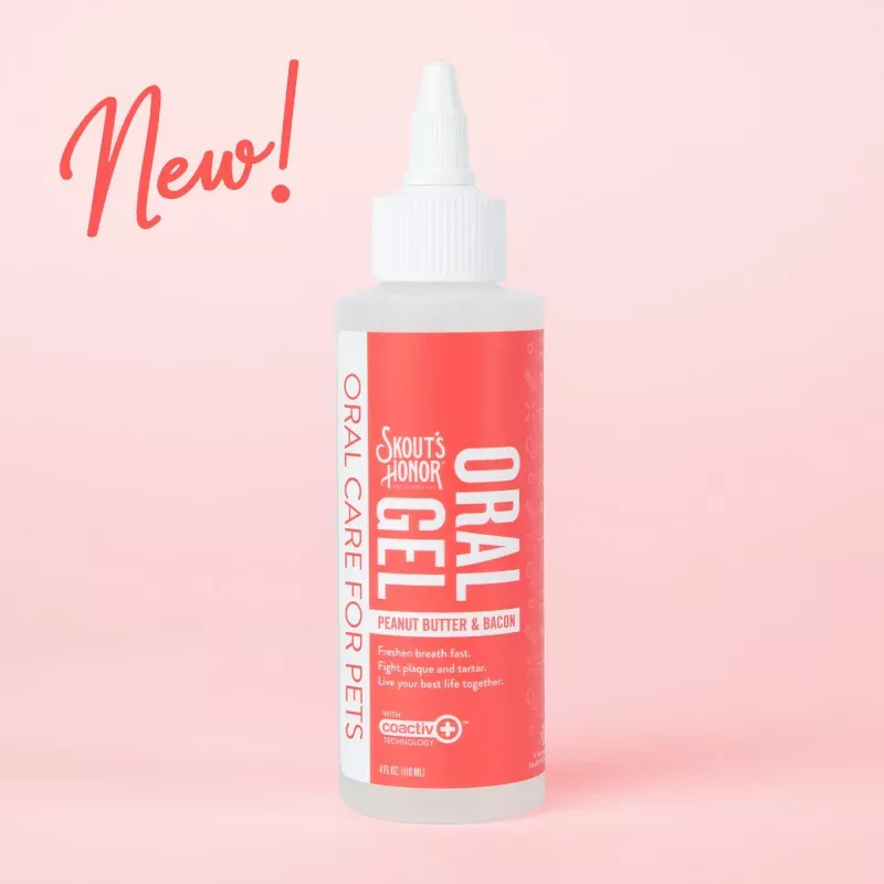 Brushless Oral Gel