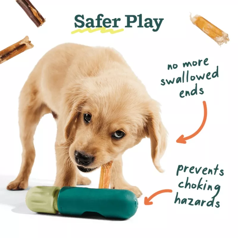 Bully Safe