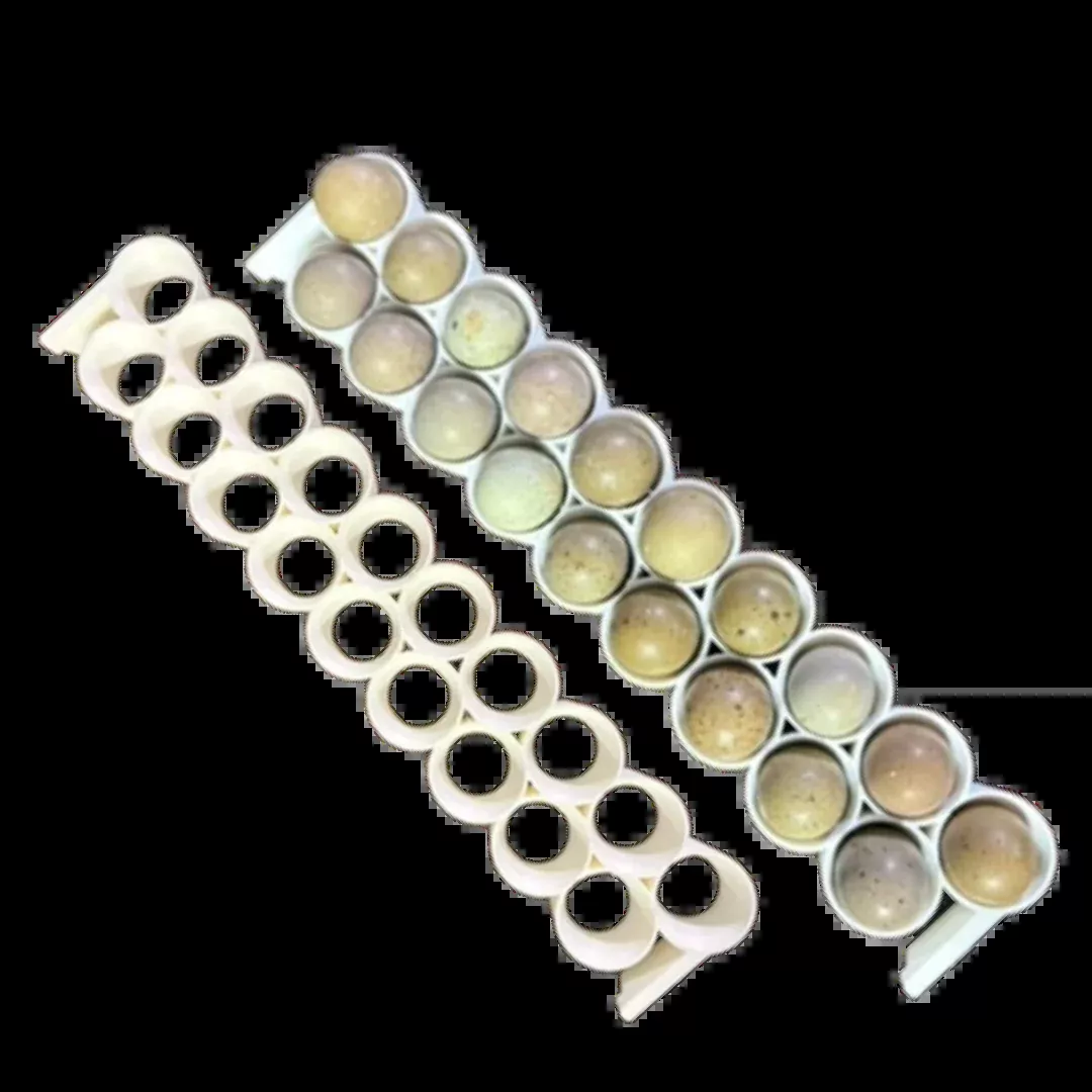 Button Quail Egg Rails for Cimuka/Hatching Time Incubators (CT-Series)